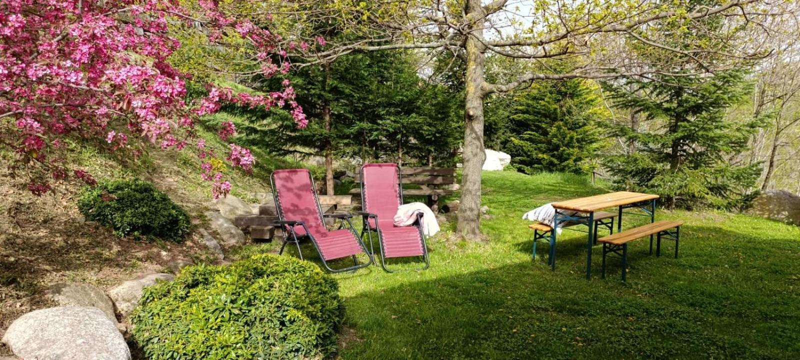 Les Pedres Villa Camprodon Ngoại thất bức ảnh